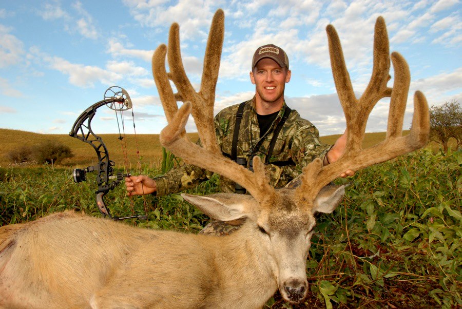 SHANE HUNTER'S MULIE 2012